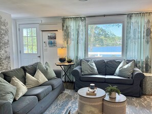 Smart TV, chimenea y libros 