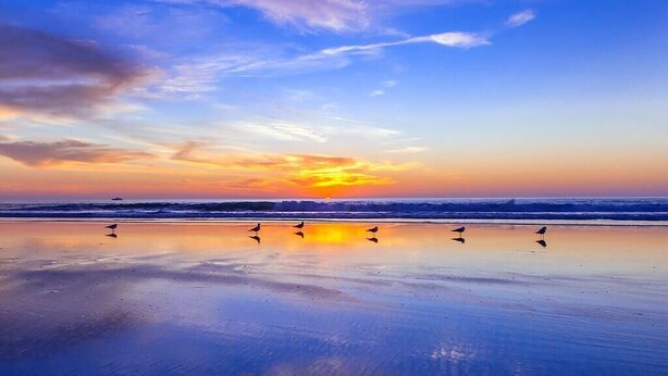 Ein Strand mit Sonnenuntergang, ruhigem Wasser und Vögeln.