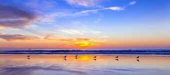 Cozy Beach Cottage, Walk to Everything! 2bed/1bath