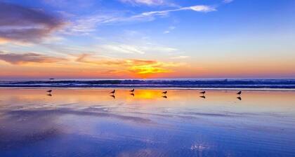 Cozy Beach Cottage, Walk to Everything! 2bed/1bath