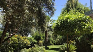 حديقة