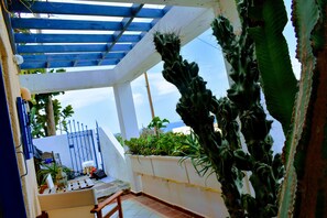Estúdio standard | Terraço/pátio