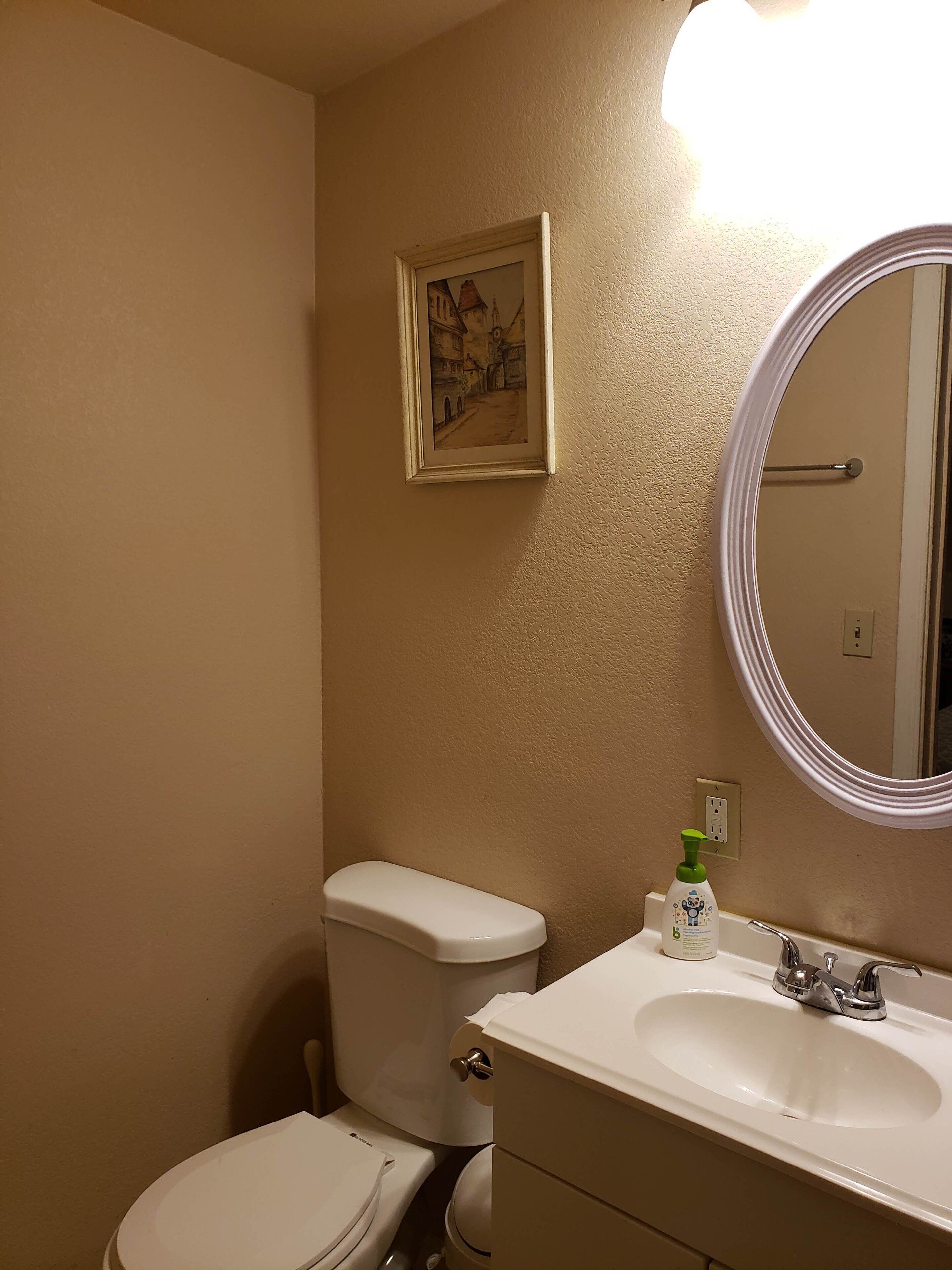Une salle de bain avec des toilettes, un lavabo et un miroir.