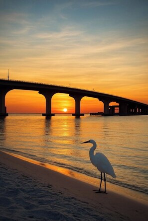On the beach, sun-loungers - Amazing Views & Condo on a Private Beach with Heated pool, Free Parking & WiFi! (Bonita Springs)