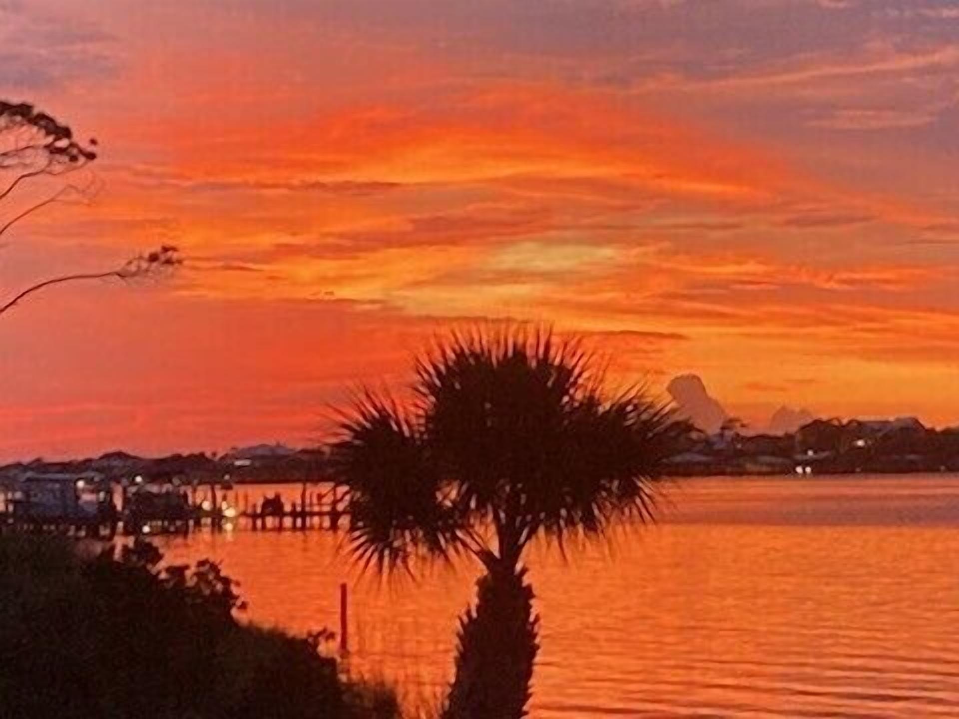 A sunset over a calm body of water with a silhouette of a palm tree and distant buildings.