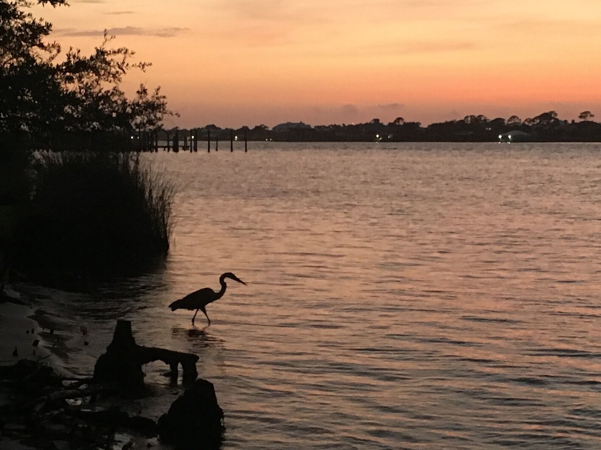 A serene sunset over a calm body of water with a bird standing on the shore.