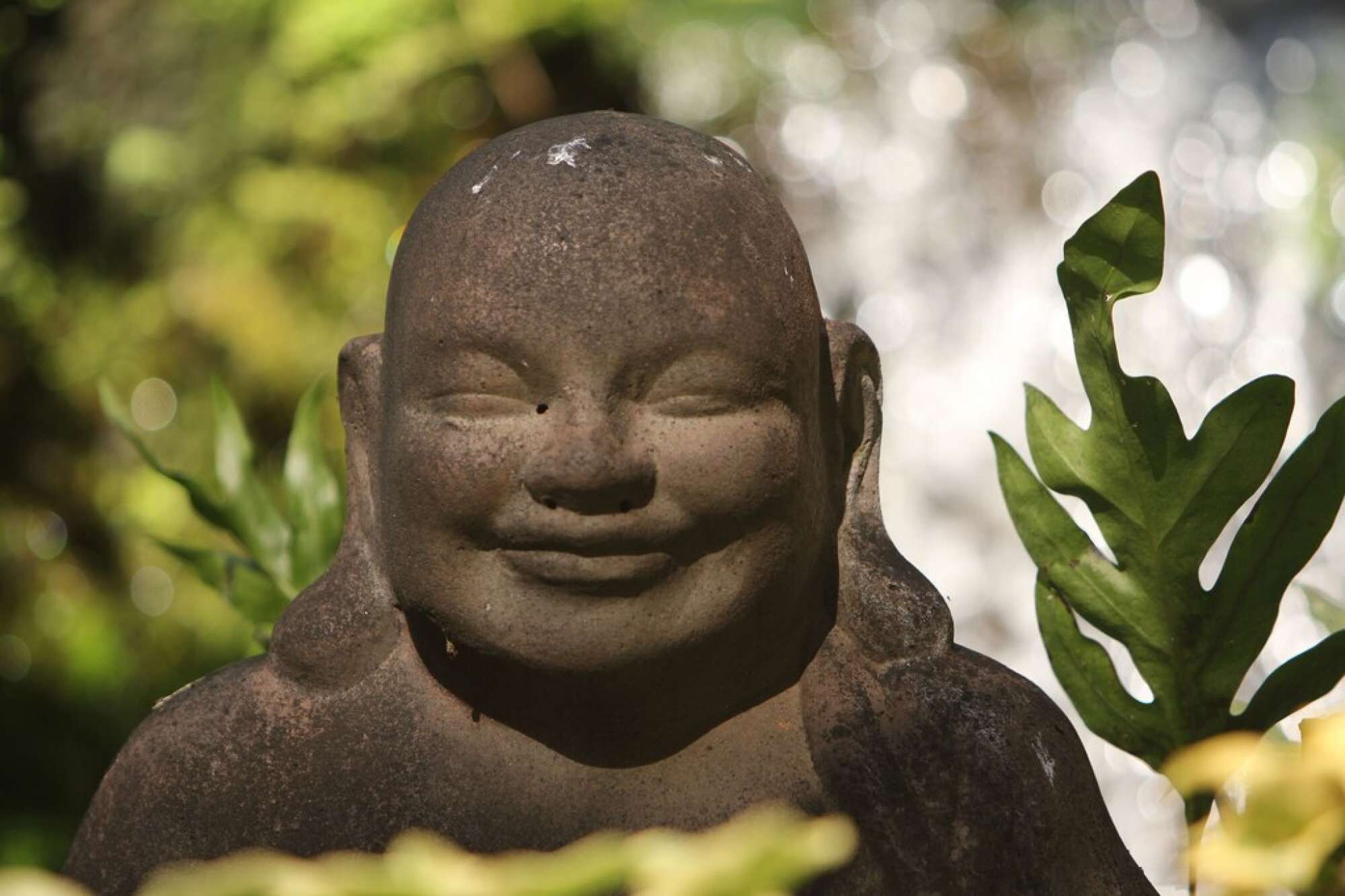 A stone Buddha statue surrounded by greenery.