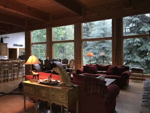 View from property - True Colorado Log home backing to the river (Durango)