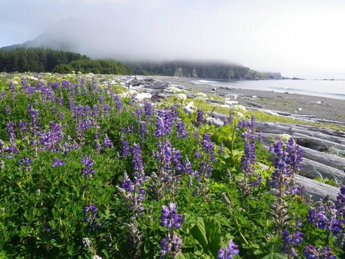 Kodiak, Alaska Executive Home 