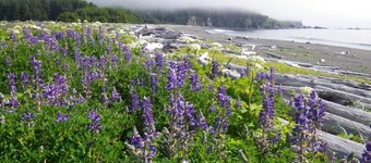 Kodiak, Alaska Executive Home 