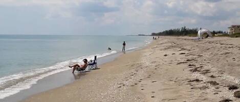 Sun loungers, beach towels