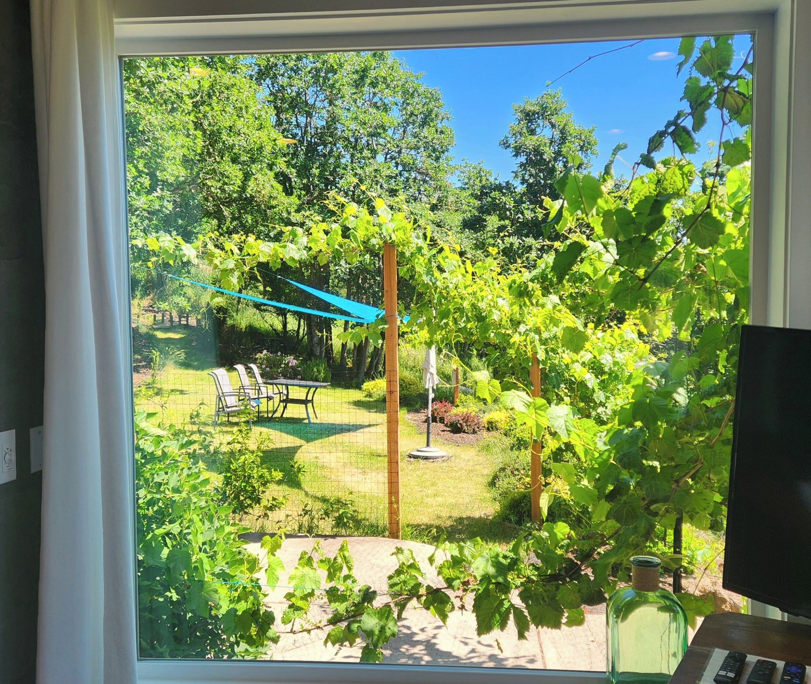 A view through a window of a backyard with a table and chairs, a pergola, and a garden.