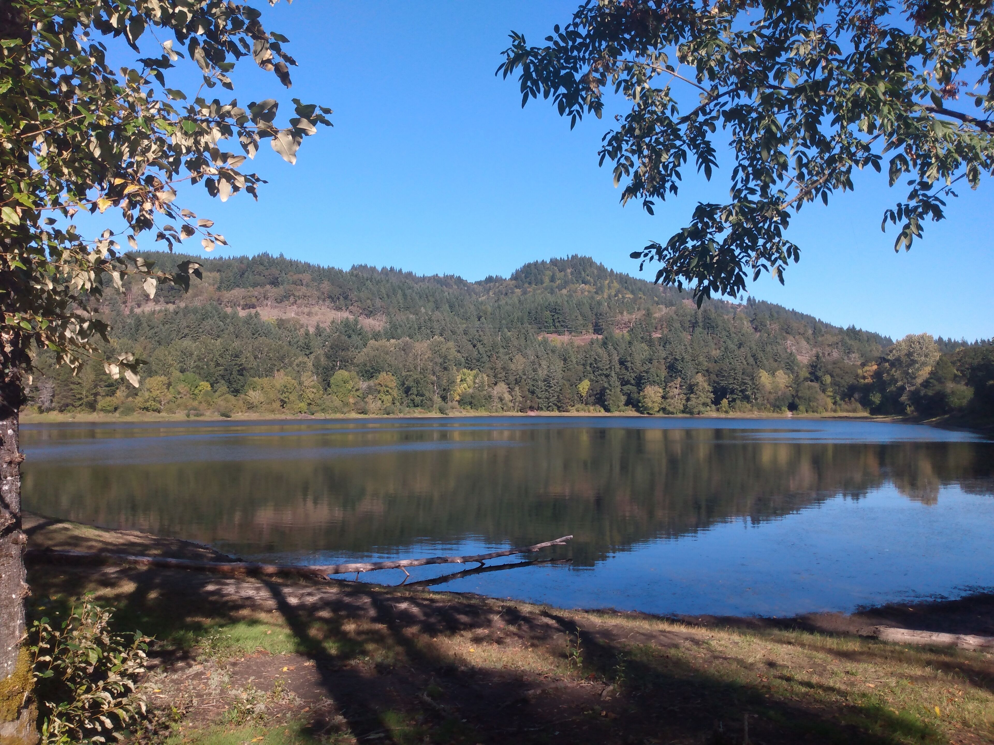 A calm lake with a forested hillside in the background.