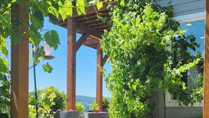 A pergola with climbing plants, a concrete pathway, and outdoor seating.