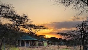 Property grounds - Ole Serai Kogatende (Bariadi)