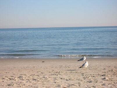 Grace Meadows: 3BR/3BA, close To Westin, Beach, Golf & Tennis