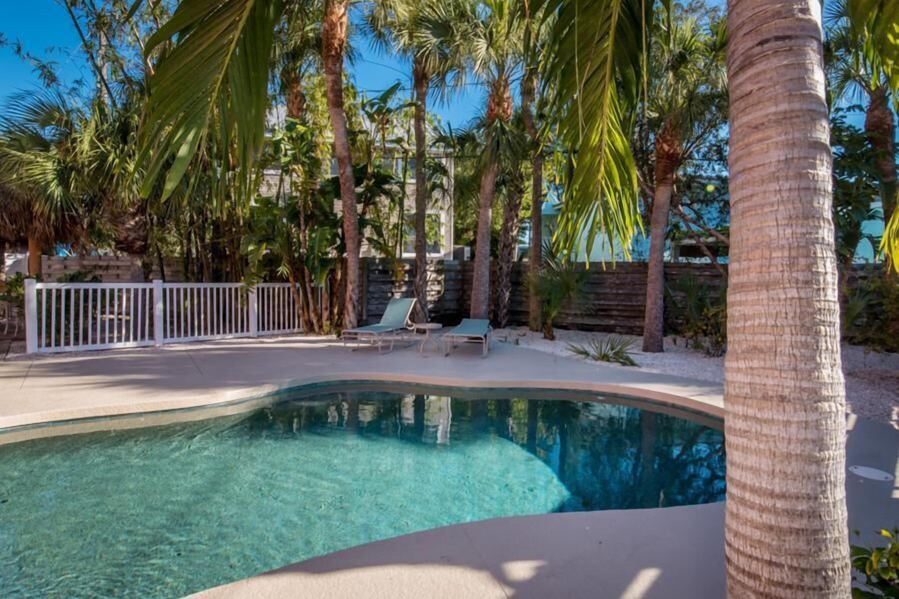 A swimming pool with lounge chairs and palm trees.