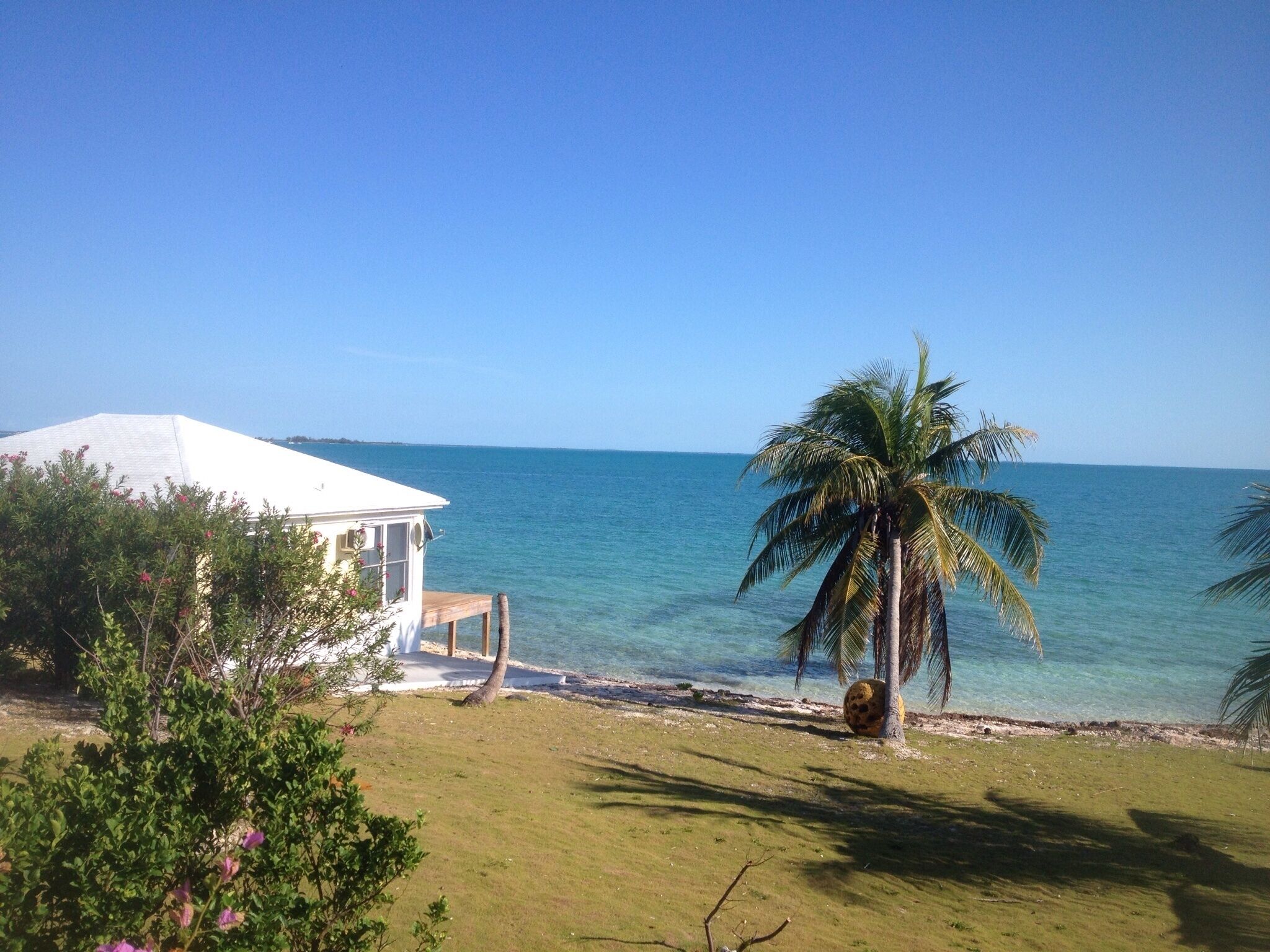 A beach view with a white building, palm trees, and clear blue water.