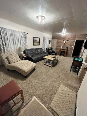 TV connectée, cheminée, lecteur de DVD, livres