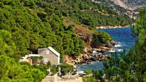 Un bâtiment situé sur la côte, entouré d’une forêt verdoyante et d’un terrain rocheux.