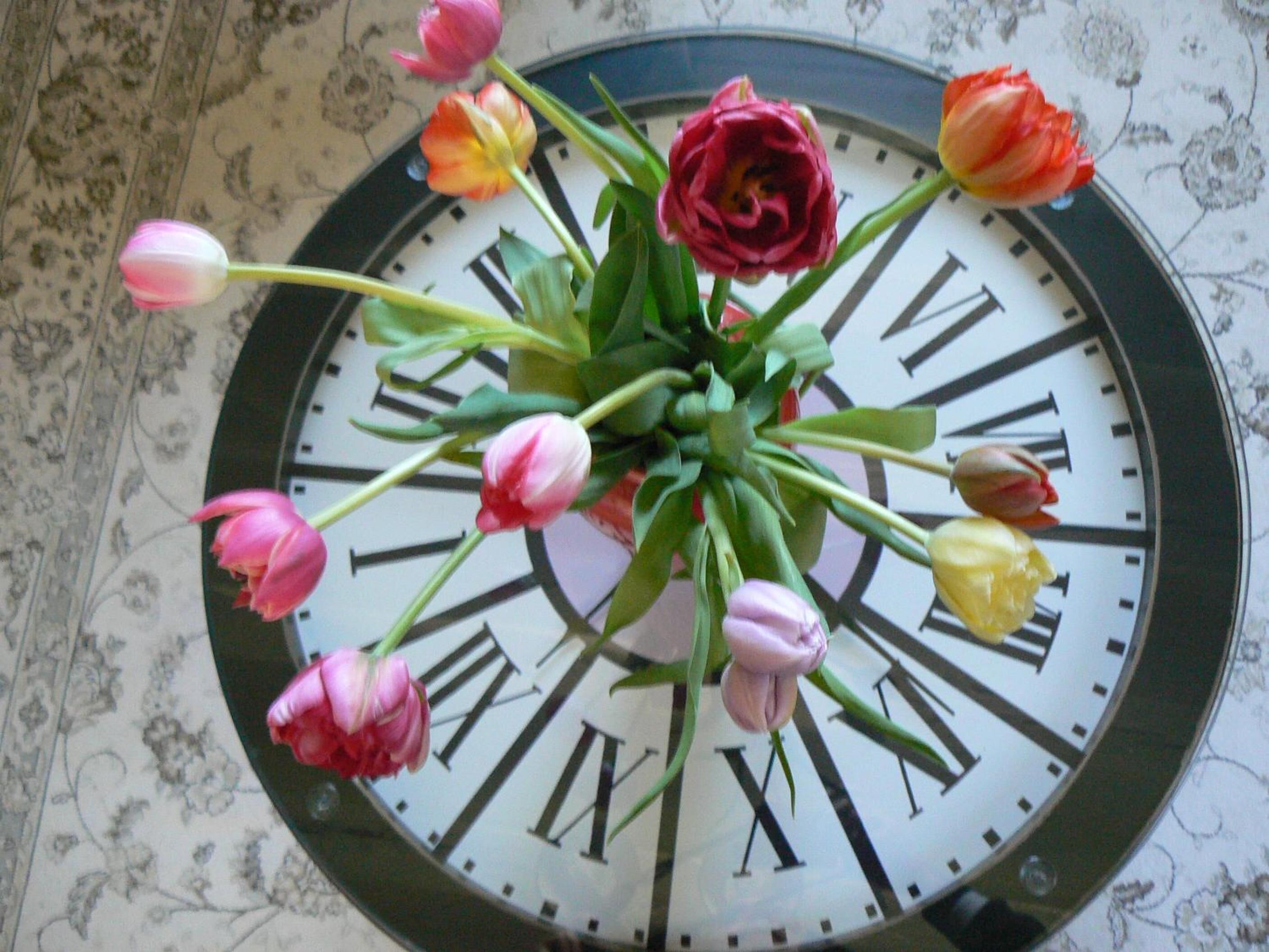 Un orologio con numeri romani e tulipani disposti tutt'intorno.