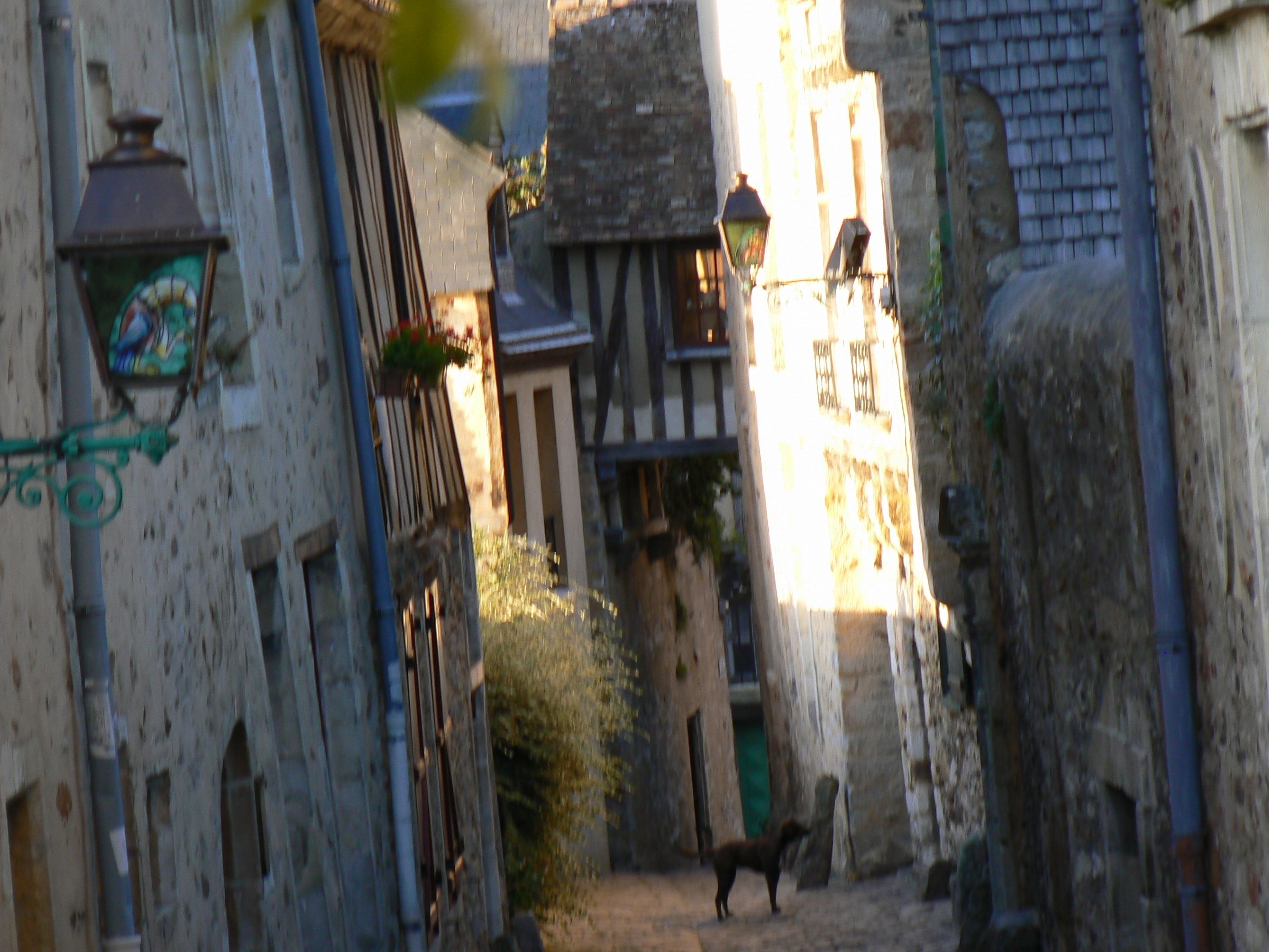 Una calle estrecha con edificios antiguos, un perro y macetas colgantes con flores.