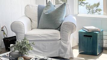 Smart TV, fireplace, books