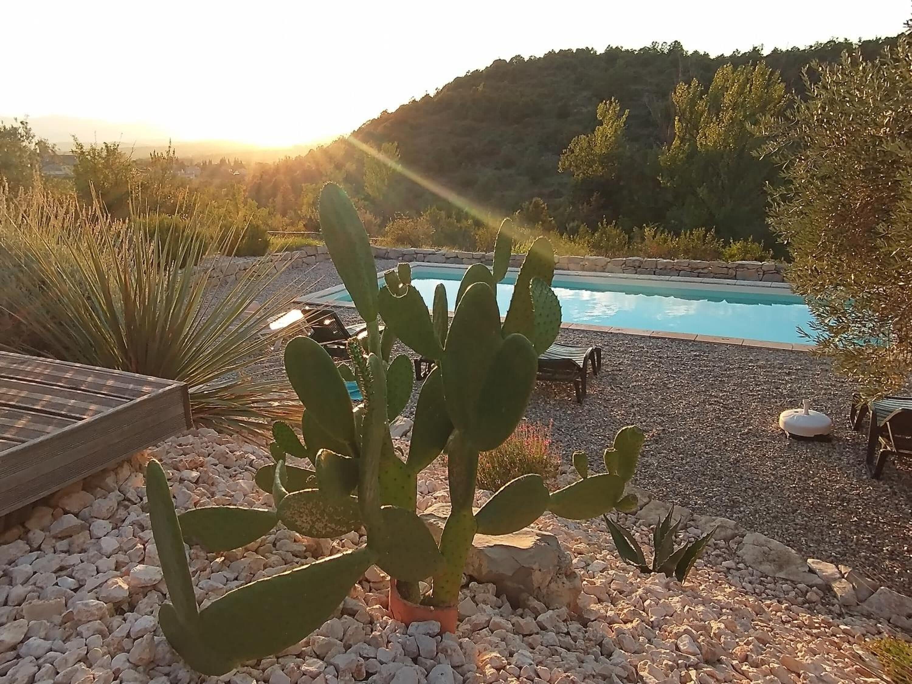 Les Agaves Reviews, Deals & Photos 2026 - Expedia