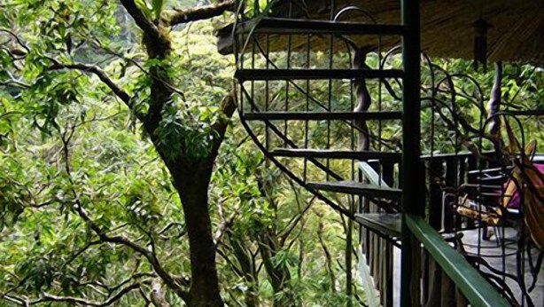 A wooden balcony with metal railings overlooking a dense forest. - Treetop House - Charming Artistic in the Canopy of Monteverde (Monteverde)