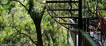 Treetop House - Charming Artistic in the Canopy of Monteverde
