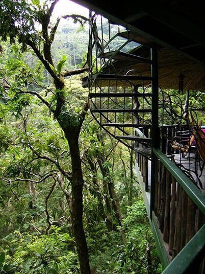 Treetop House - Charming Artistic in the Canopy of Monteverde