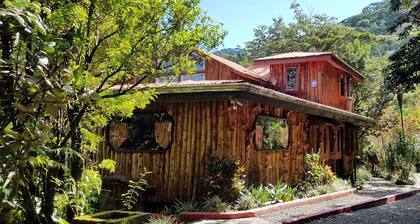 Treetop House - Charming Artistic in the Canopy of Monteverde