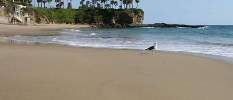 In Strandnähe, Liegestühle, Strandtücher