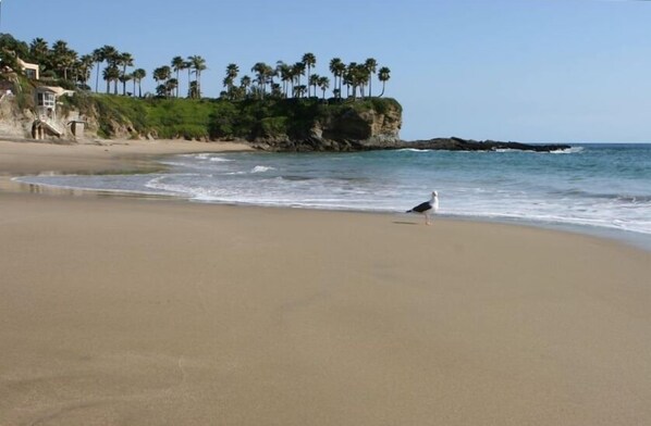 Plage à proximité, chaises longues, serviettes de plage