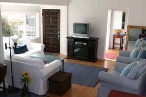 Télévision, cheminée, lecteur de DVD, livres