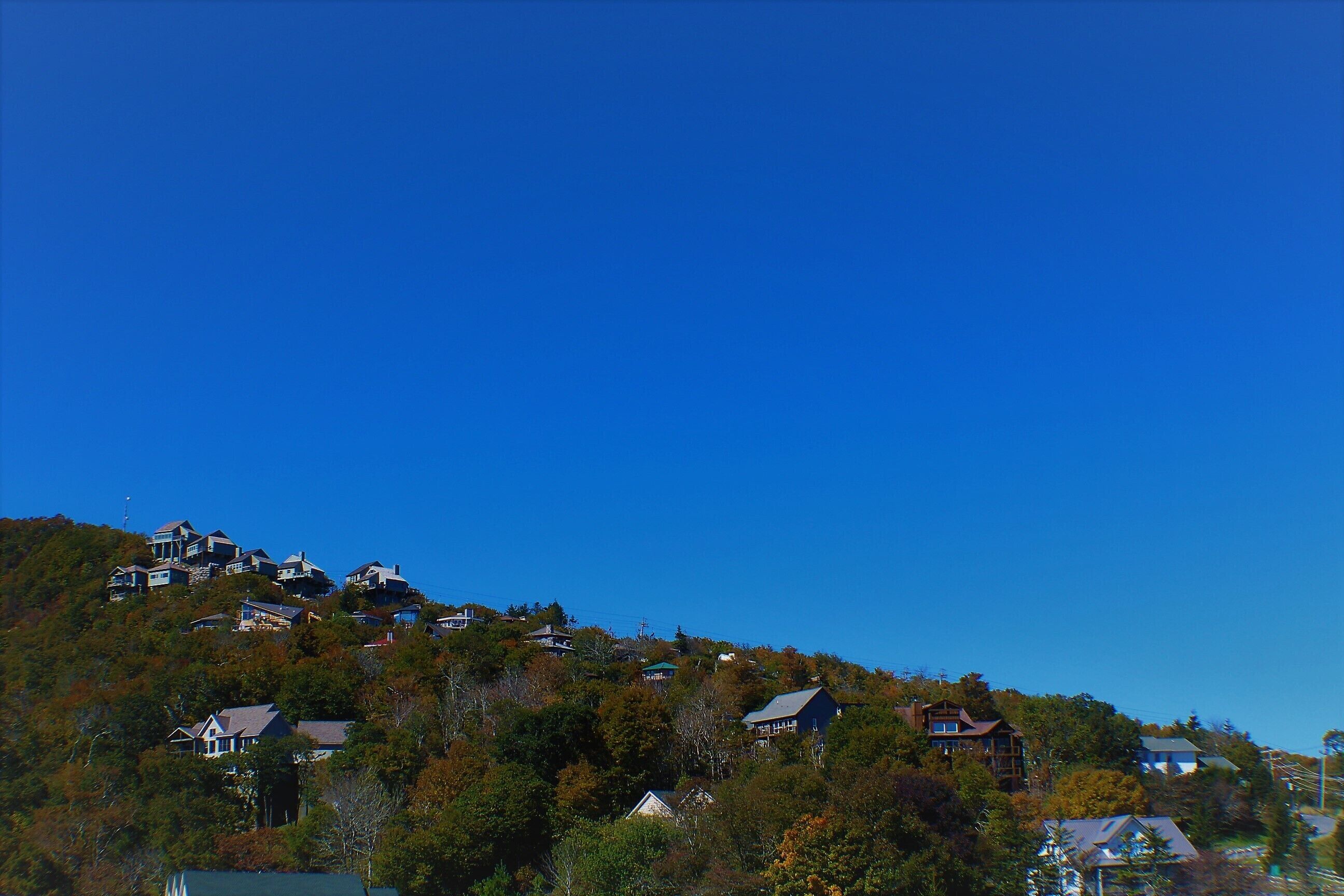 A hillside with multiple houses, some with large windows and others with smaller windows, surrounded by trees.
