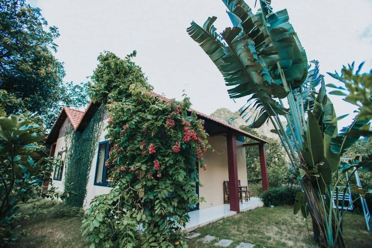 A house with a red roof, surrounded by lush greenery and a banana plant.