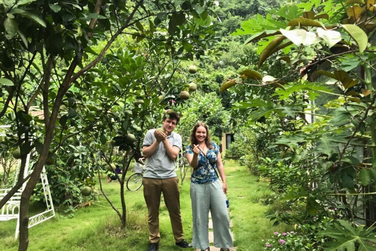 Un jardín con árboles frutales y un banco de metal.