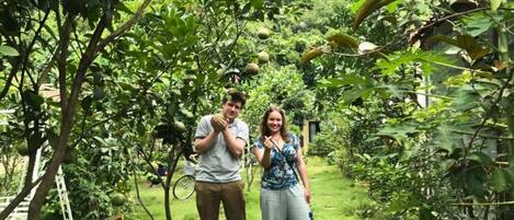 Un jardín con árboles frutales y un banco de metal.