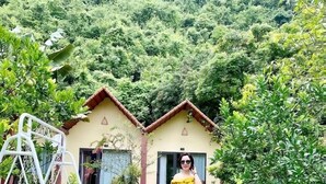 A pathway leading to a building surrounded by lush greenery. - Trang An Retreat (Tay Hoa Lu)