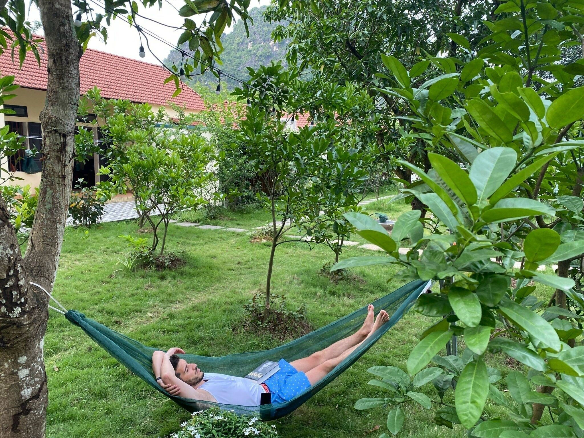 Una hamaca en un jardín exuberante, con un edificio al fondo.