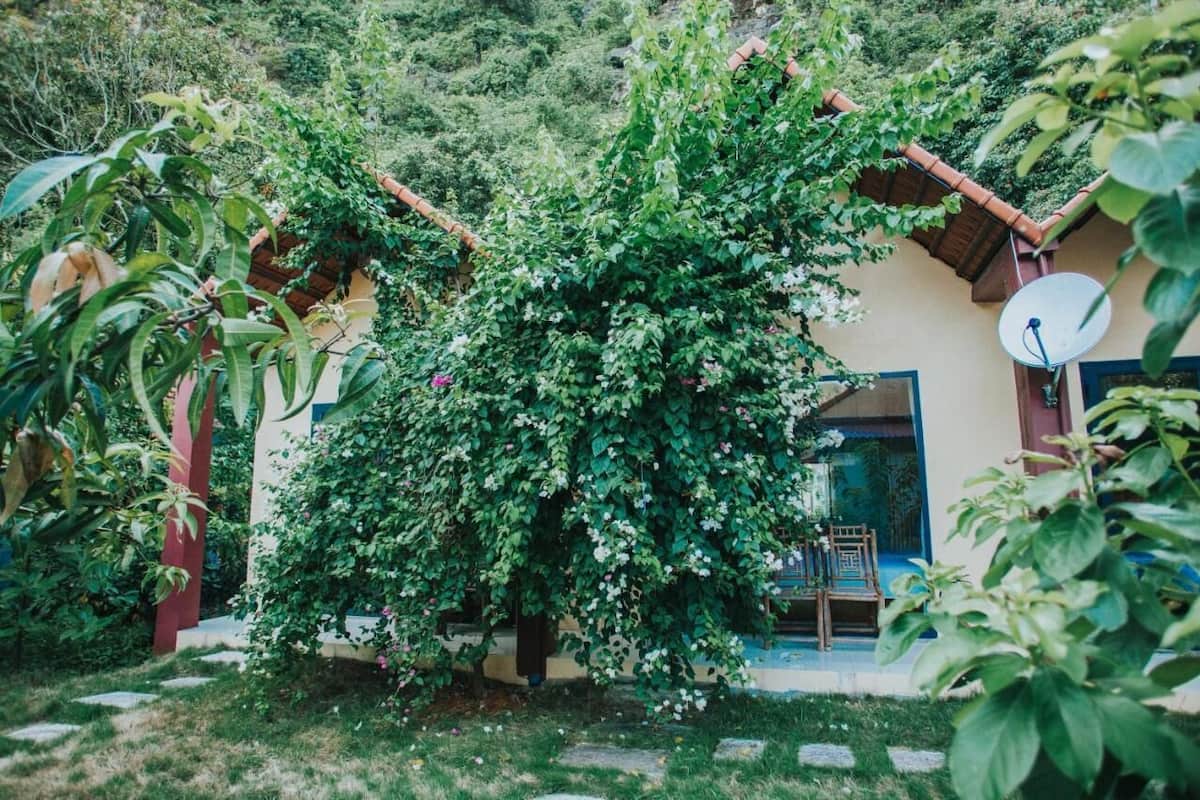A house with a garden, a satellite dish, and a door with a chair outside.