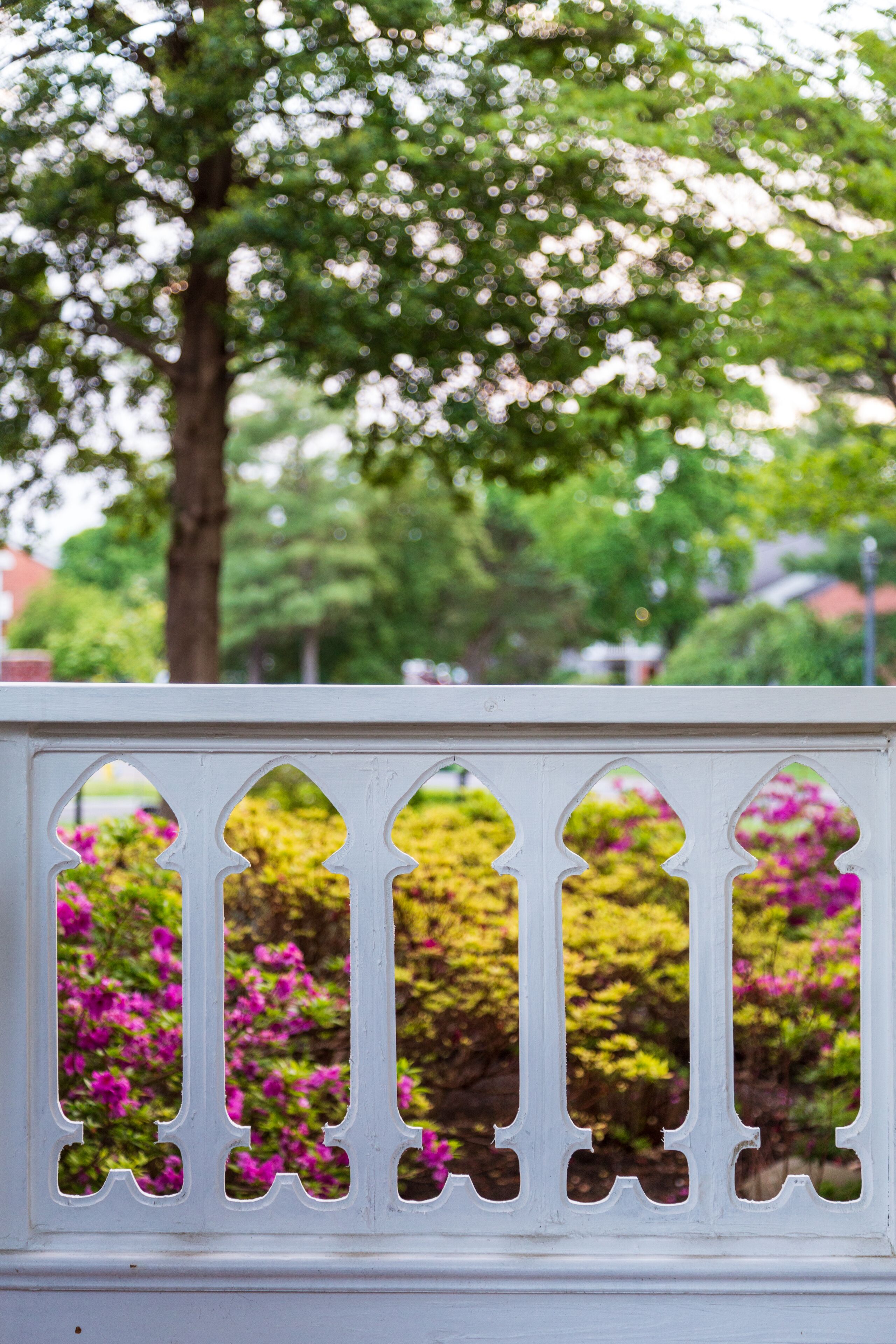 A white wooden fence with decorative cutouts.