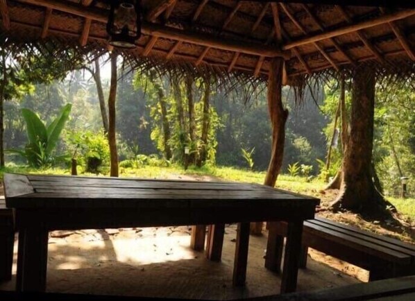 Servicio de la propiedad