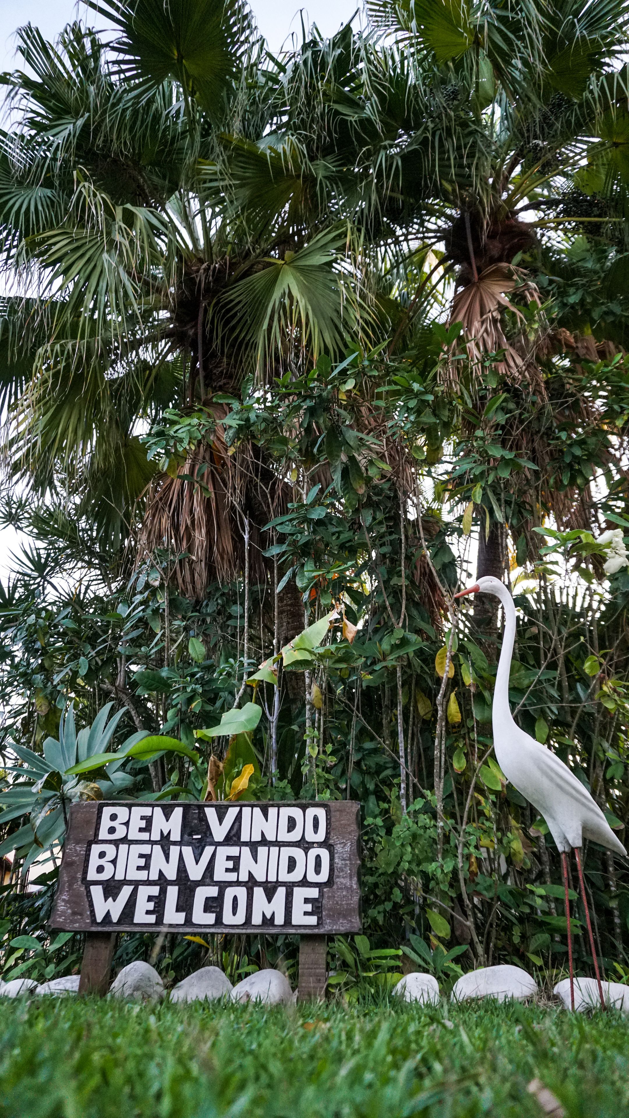 Foto - Pousada das Garças