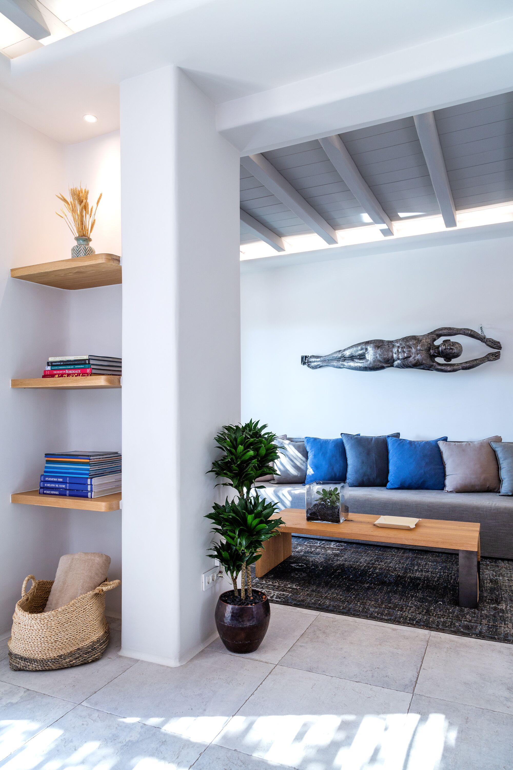 A modern living room with a grey sofa, blue cushions, a wooden coffee table, and a potted plant.