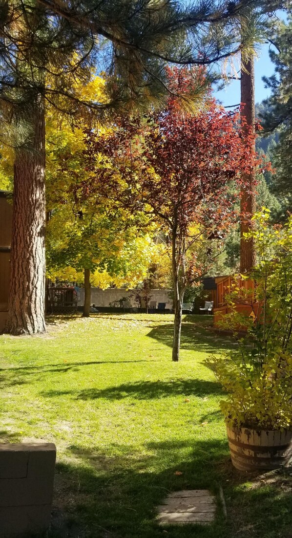Un jardín con diversos árboles, un banco de madera y un bloque de concreto.