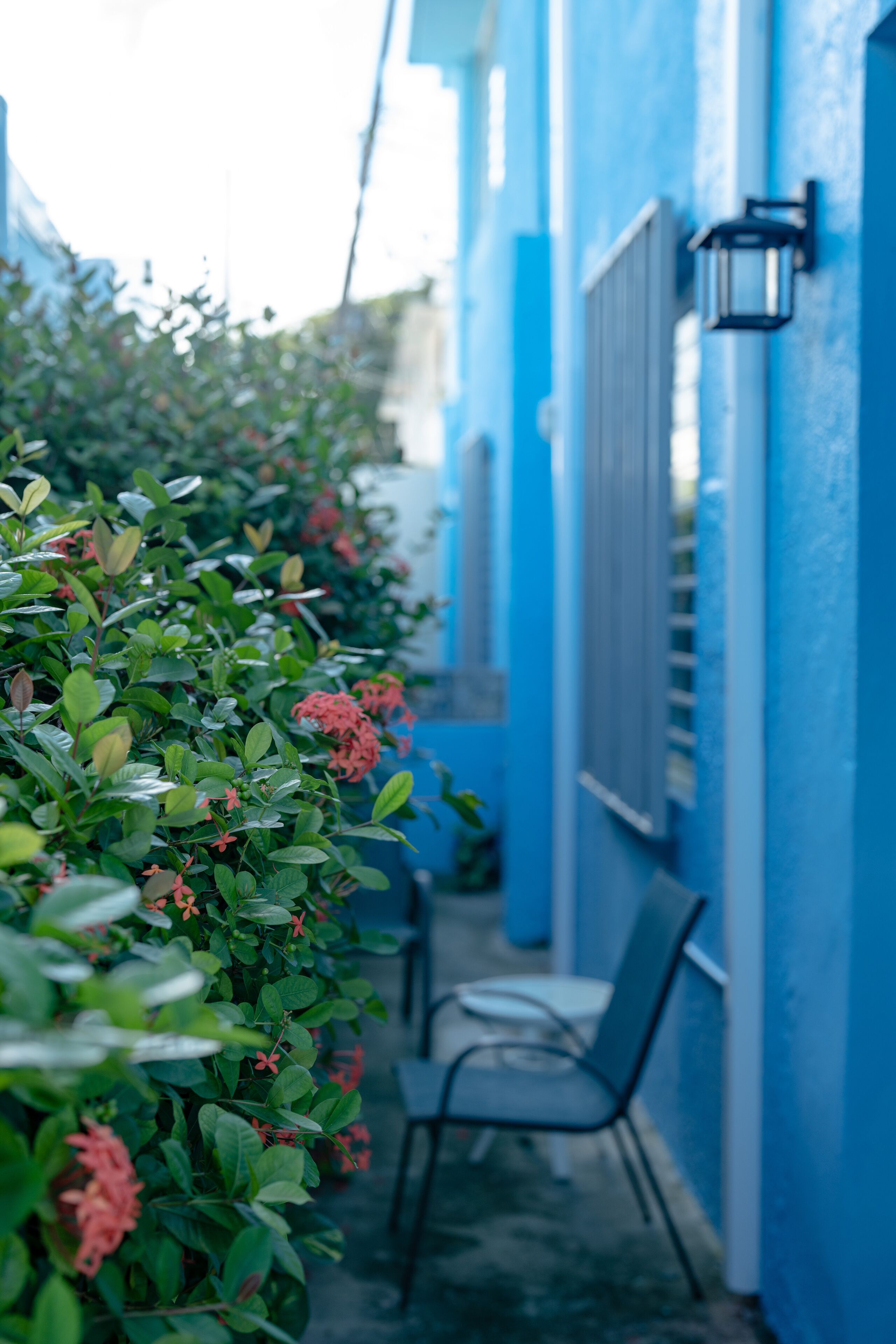 Foto - La Esmeralda PR