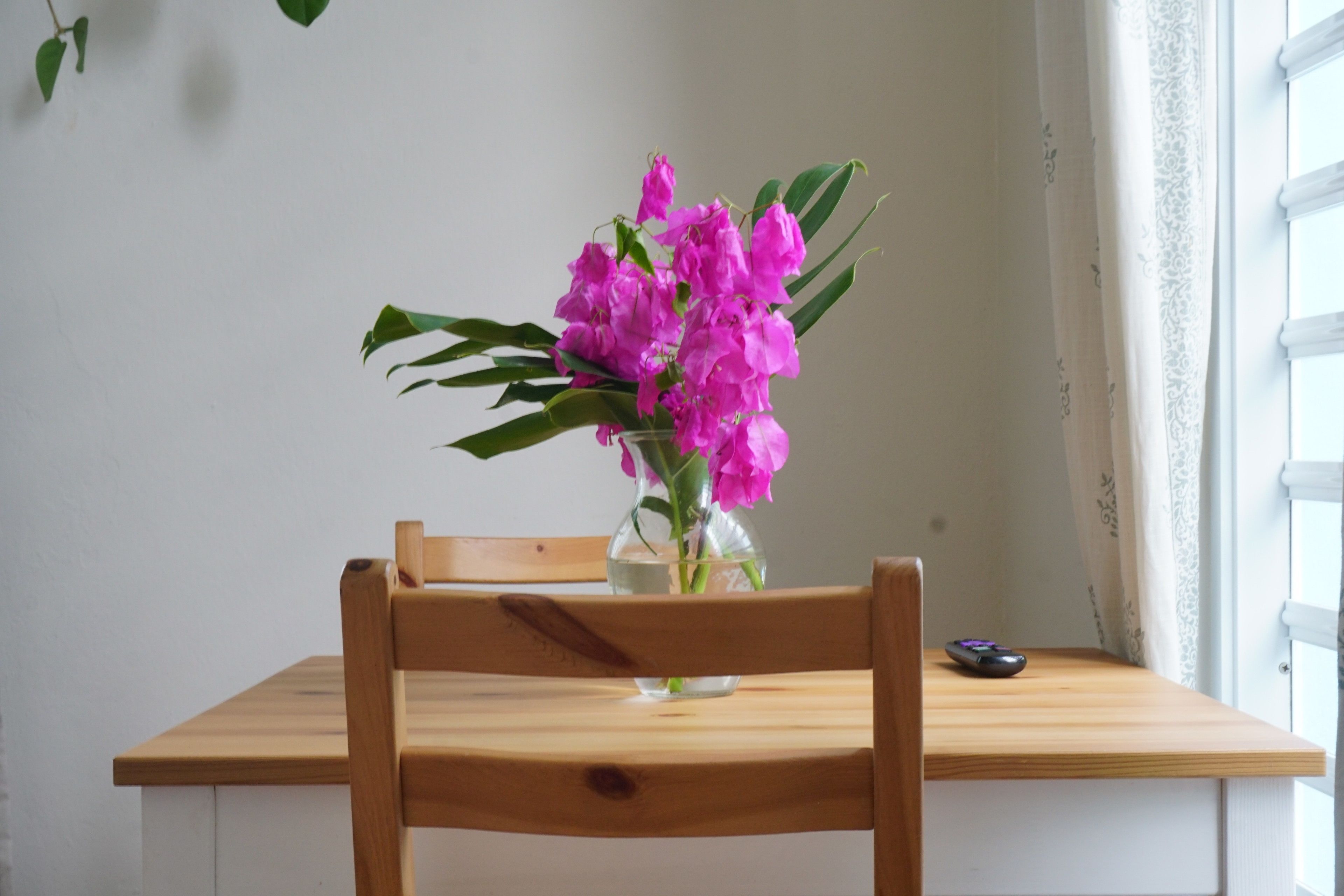 Een houten tafel met een vaas roze bloemen, een afstandsbediening en een stoel.