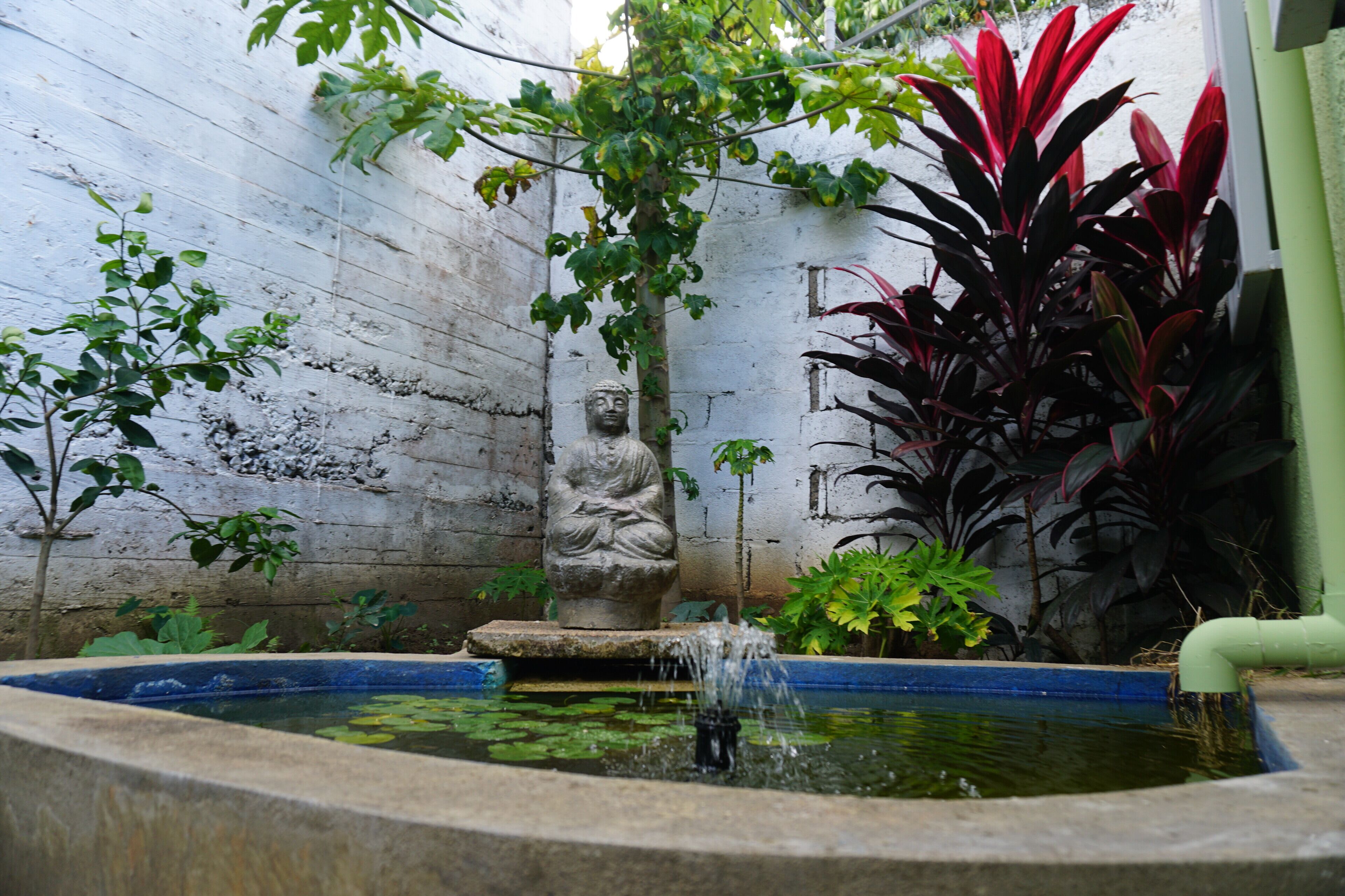 Honeymoon Apartment, 1 King Bed, Non Smoking, Garden View | Terrace/patio